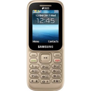 Samsung Guru Music 2 gold